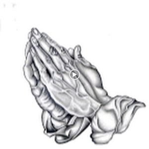 Meet your Posher, Dolores